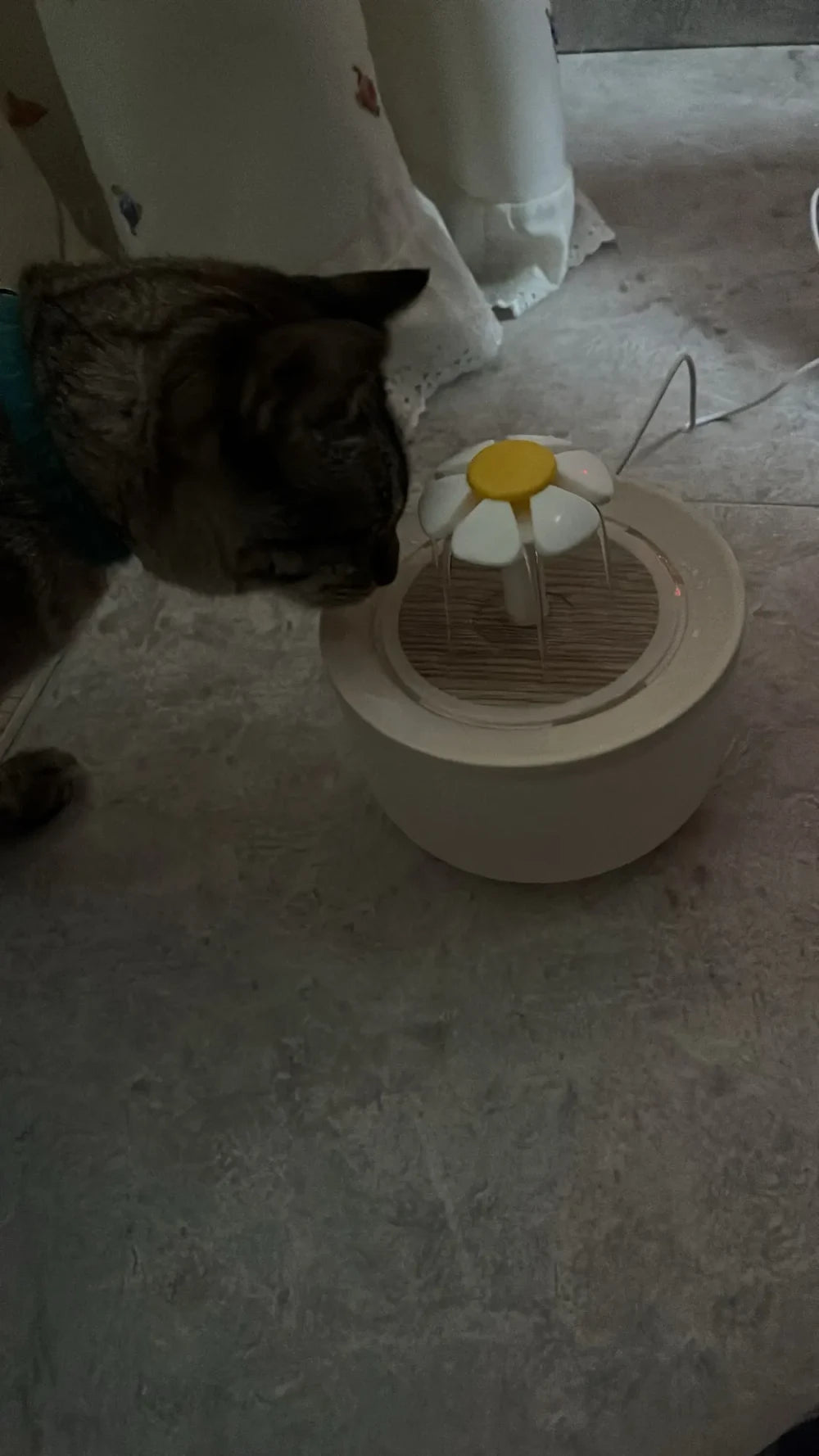 Review Card